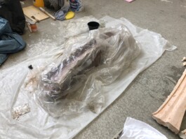 MOEGI MORIKAWA